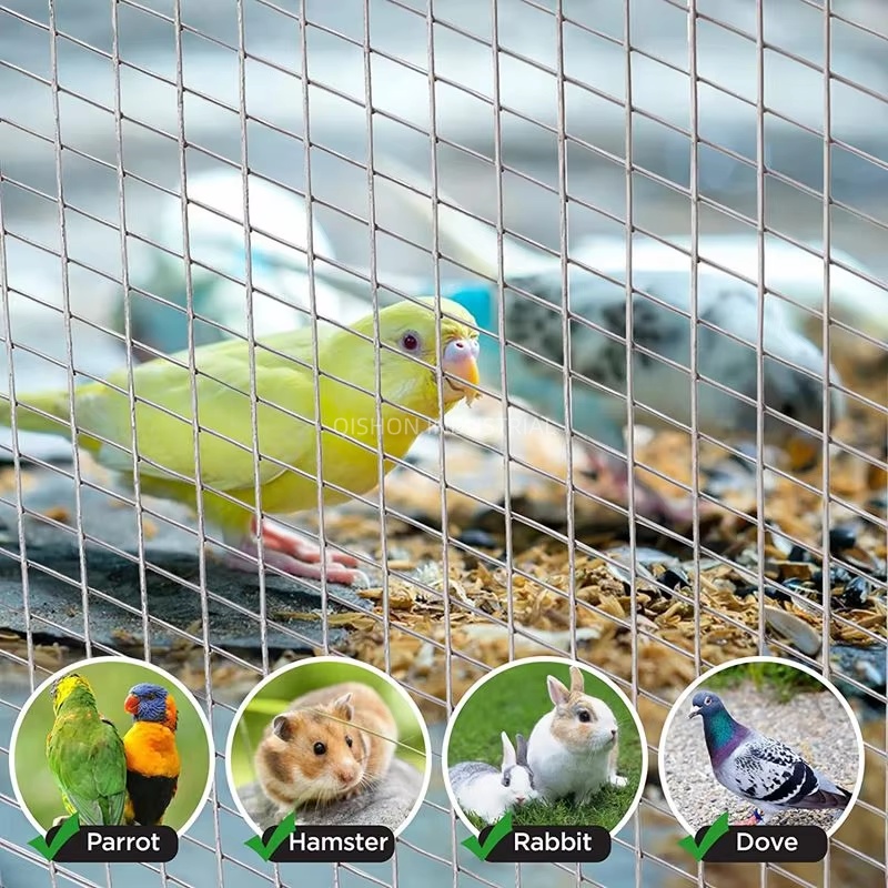 Heavy Duty Cost-effective Galvanized/ Stainless Steel Welded Wire Mesh for Construction